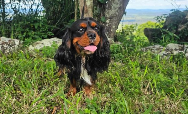 421808515_957459925485639_5938777511632637284_n