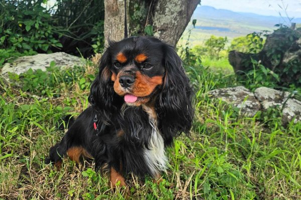 423472405_1822386998207845_2669063104197041558_n