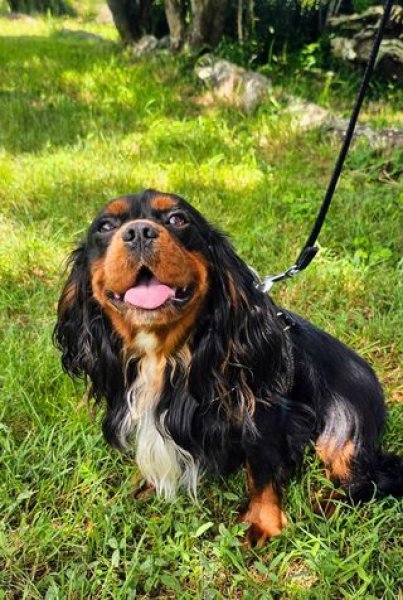 423541966_1129896351700908_7393499910467709744_n