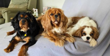 461134049_2890082861155557_4587657174228030033_n