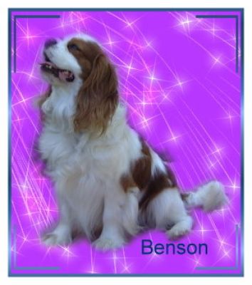 Benson artistic 2